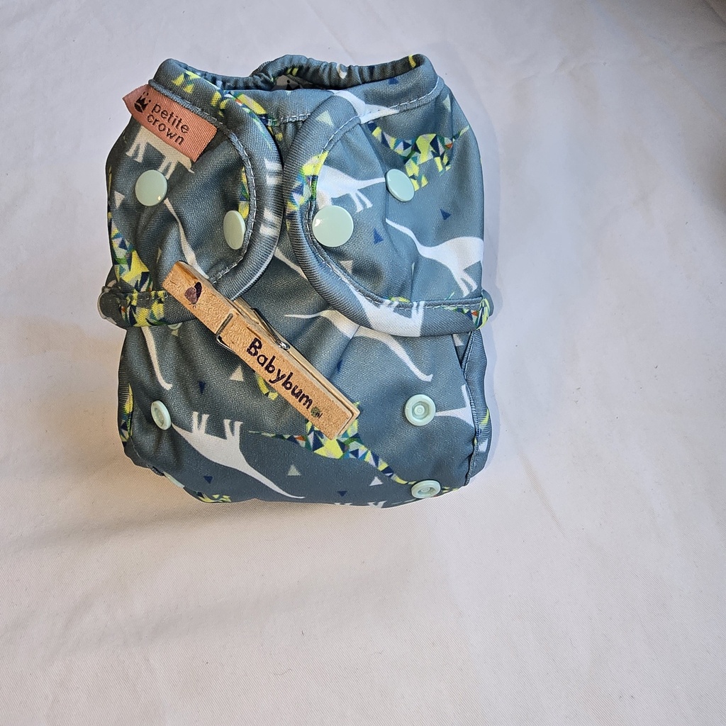 Petite Crown | Keeper Overbroekje | Newborn 2,7- 8 kg | Dino