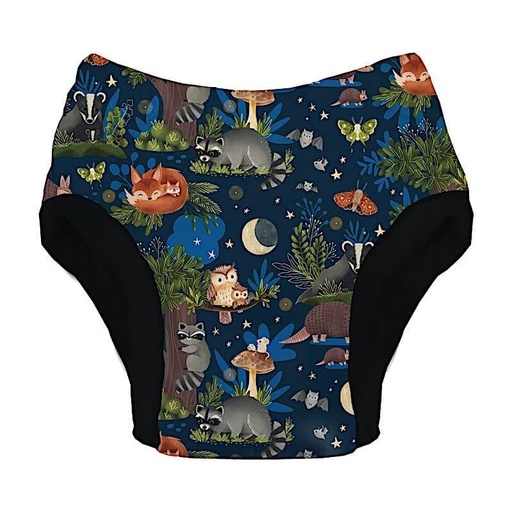 [BA-2026-00012] Thirsties Oefenbroekje | Maat S | Rainbow  (kopie)