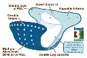 best-bottom-one-size-diaper-system-diagram_large.webp