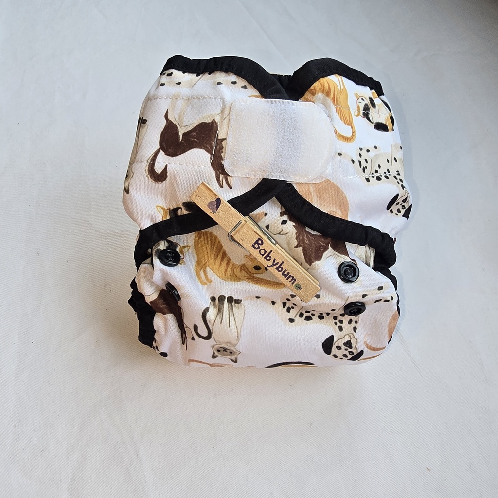 Thirsties Duo Wrap – Verstelbaar Overbroekje | maat 1 | 3-8 kg | Klittenband| Pawsitive pals  