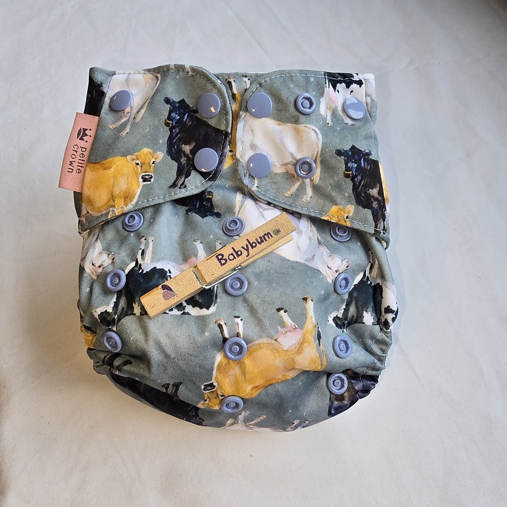 Petit Crown Zwemluier | Swim OS | 3,6-16 kg | Koyuki (kopie)