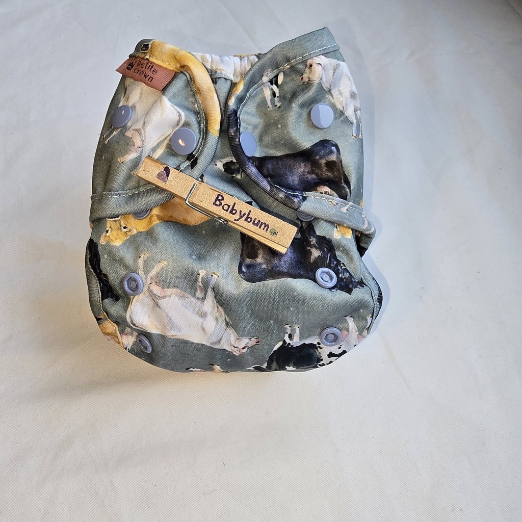 Petit Crown | Keeper Overbroekje | Newborn 2,7- 8 kg | Twinkle (kopie) (kopie) (kopie)