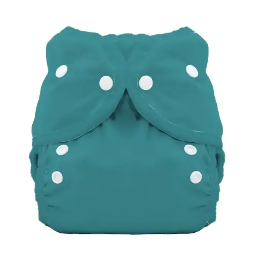 [BA-2026-00118] Thirsties Duo Wrap – Verstelbaar Overbroekje | maat 2 | 8-18 kg | Drukknoopjes | Desert Bloom   (kopie)