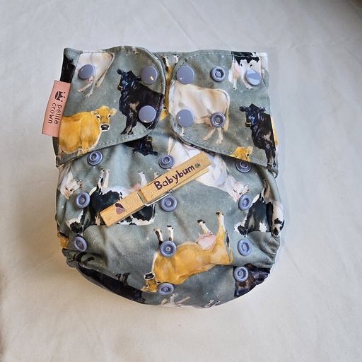 [BA-2026-00248] Petit Crown Zwemluier | Swim OS | 3,6-16 kg | Koyuki (kopie)